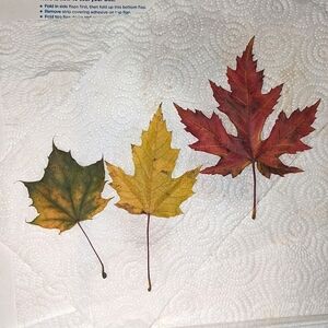 Hand Crafted Treated & Pressed Natural Autumn Leaves from Upstate NY